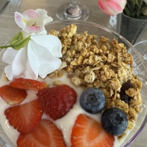 Yogurt de granola