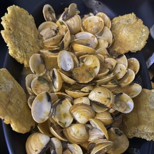 Almejas al ajillo
