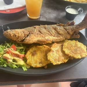 Pescado frito