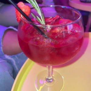 Gin frutos rojos