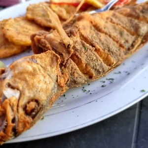 Corvina frita