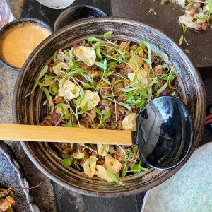 Wok Duck Fried Rice