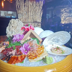 Sampler - Sashimi