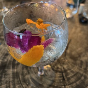 gin tonic