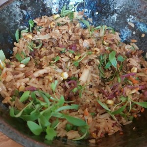 Wok Duck Fried Rice