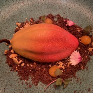 Postres - Cacao Salvaje