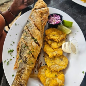 Platos Fuertes - Corvina Frita