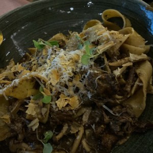 Primi Piatti - Pappardelle Short Rib