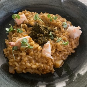 Risottos - Risotto Boillabaisse