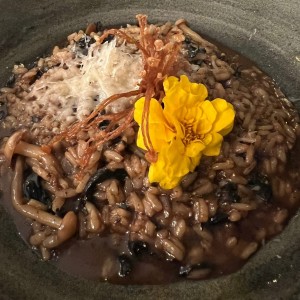 Risottos - Risotto di Funghi