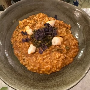 Risottos - Risotto Boillabaisse