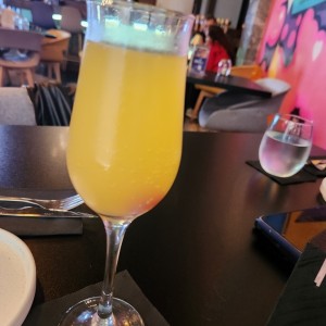 mimosa