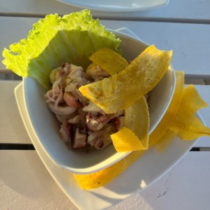 Entradas - Ceviche Mixto