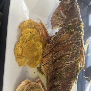 Pescado Entero - Corvina Frita