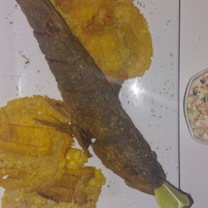 corvina frita