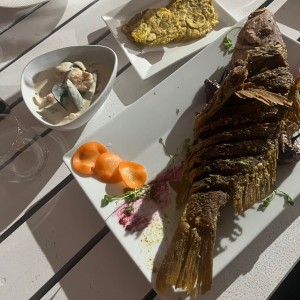 Pescados - Corvina seafood