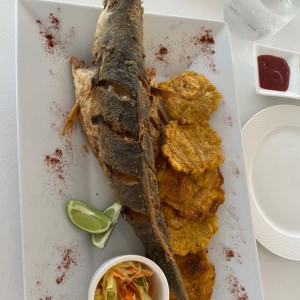 Pescado Frito al Grill o al Ajillo