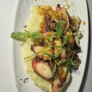 Pulpo - Pulpo al ajillo