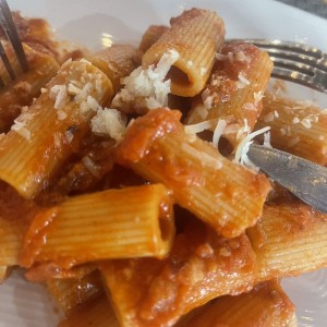 Primi Piatti - Rigatoni alla Amatriciana