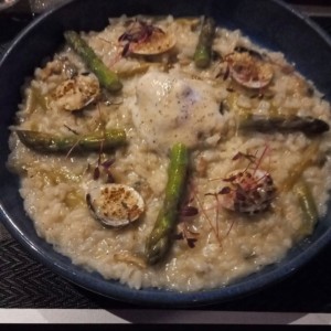 Risotto de Almeja y Grappa