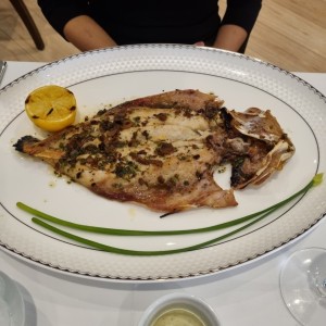 Corvina a la brasa