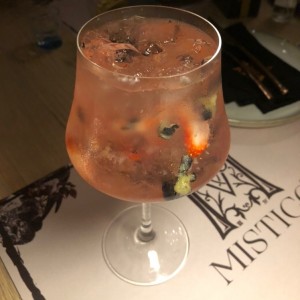 Gin Frutos Rojos