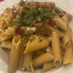 Penne Porcini gluten free