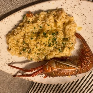 Risotto con langosta