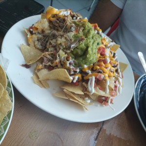 Nachos Especiales