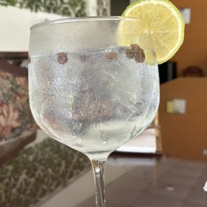 Gin Tonic