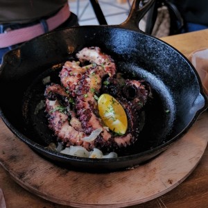 pulpo