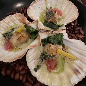 Coquille