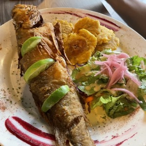 Mariscos - Corvina Frita Entera