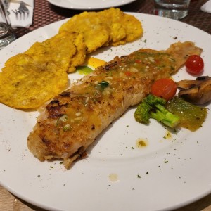 Mariscos - Filete de Corvina