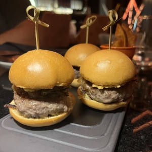 The Sliders