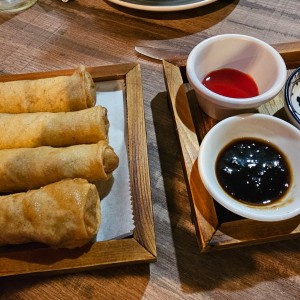 Entradas - Spring Rolls