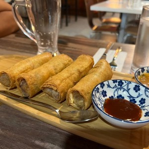 Entradas - Spring Rolls