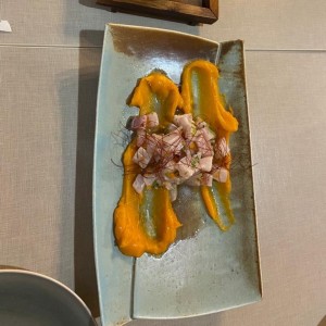 Ceviche de pescado campeche