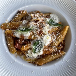 PASTA CORTA - La Amatriciana