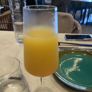 Mimosa