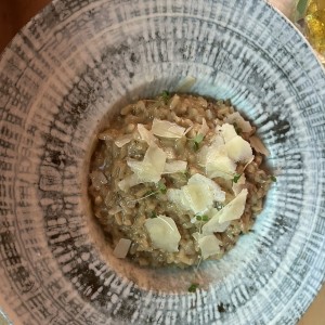 Risotto Delicato