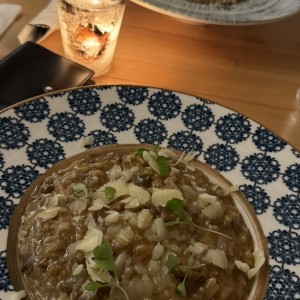 Risotto Delicato