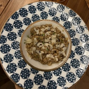 Risotto ai Due Funghi