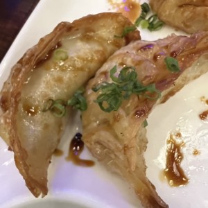 gyoza