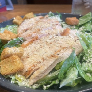 Grilled Chicken Caesar Salad