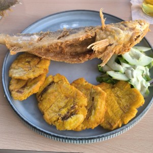 Corvina entera frita