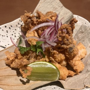 Ceviche frito