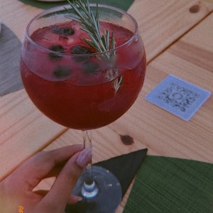 gin de frutos rojos 