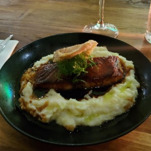 Salmon