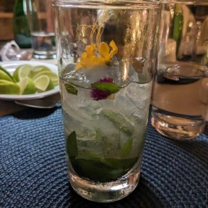 mojito 